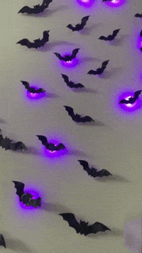 NightBat Glow – Light Edition