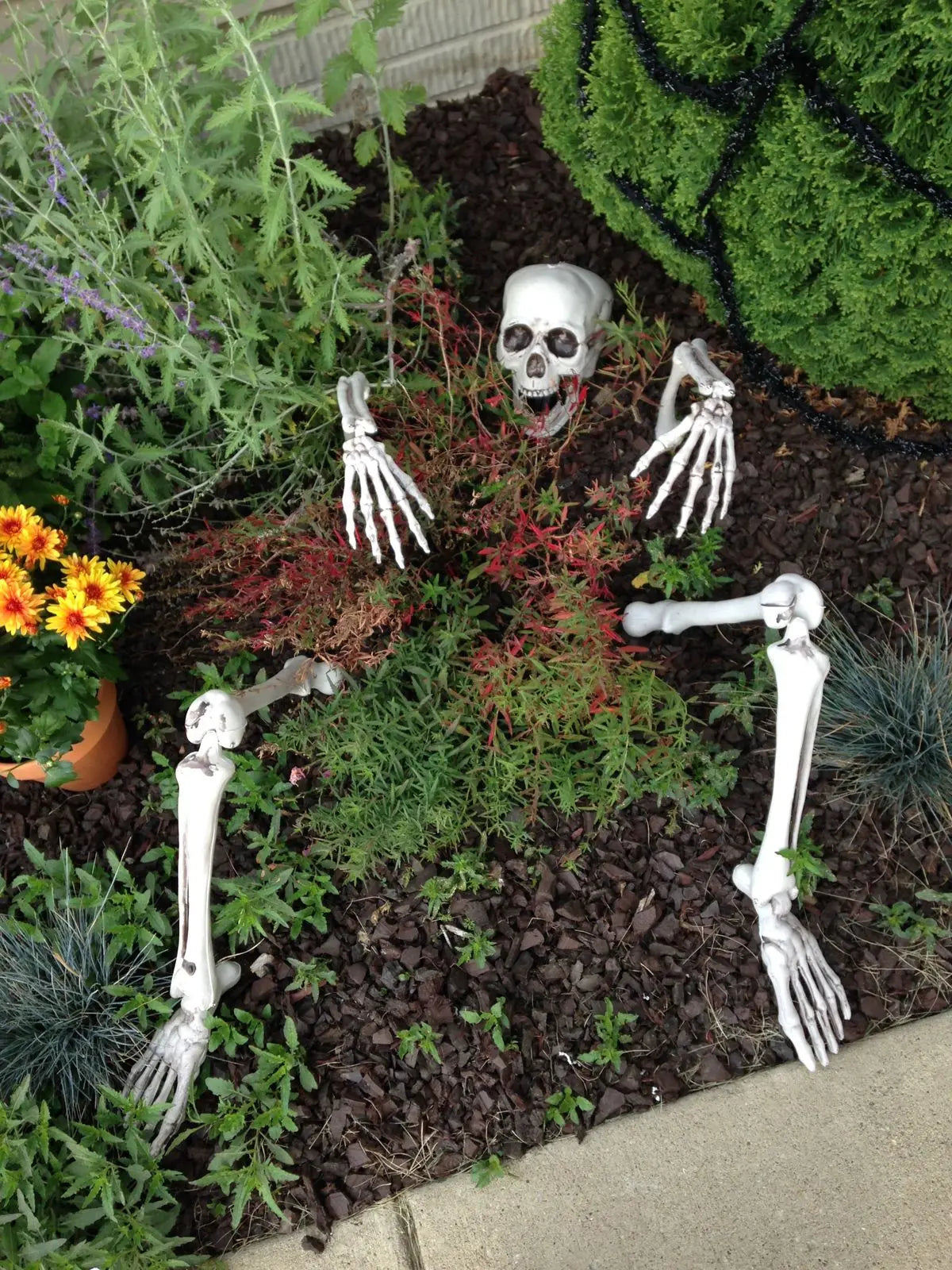 Realistic Skeleton Stakes – Spooky Skull & Hands for Halloween Yard and Party Decorations