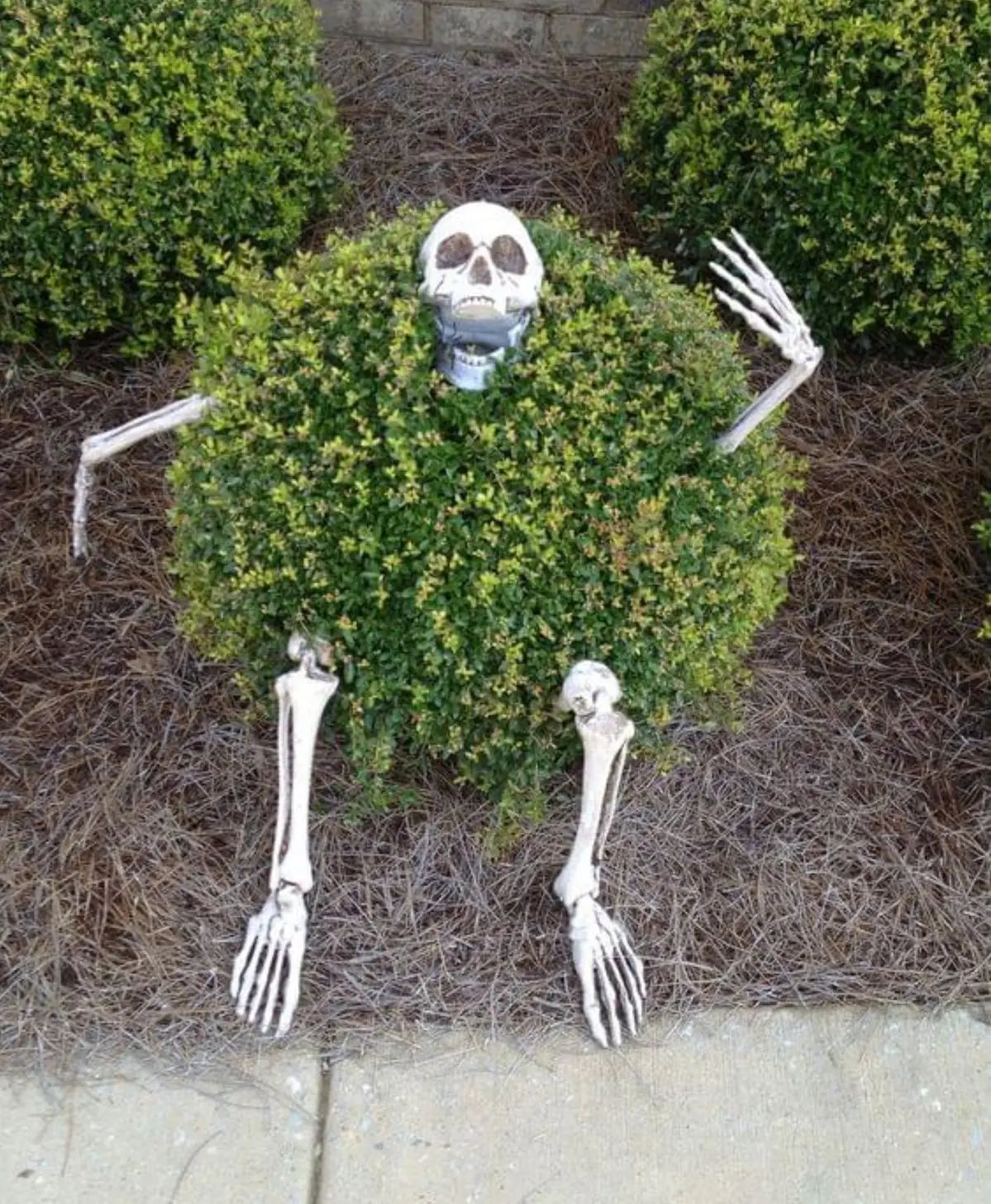 Realistic Skeleton Stakes – Spooky Skull & Hands for Halloween Yard and Party Decorations