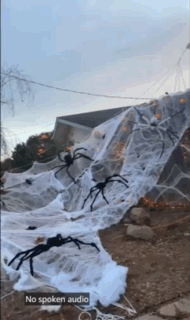 Phantom Glow Spider Web