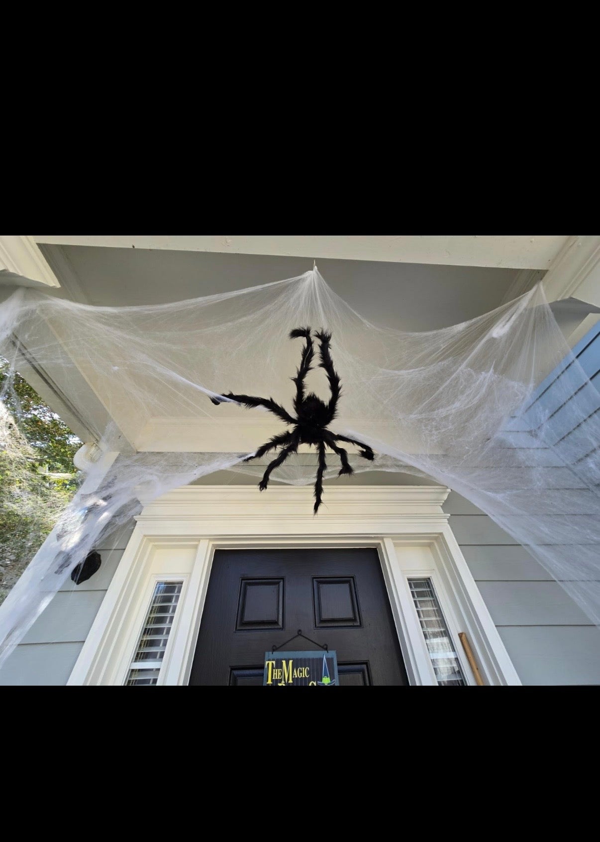 Phantom Glow Spider Web
