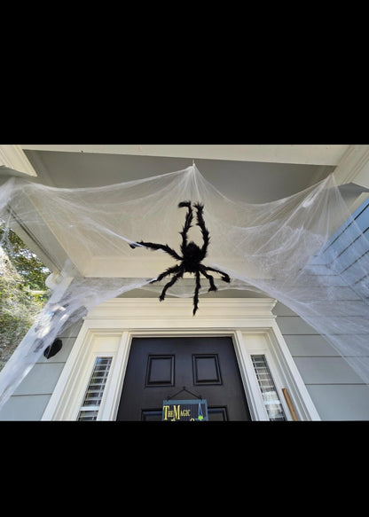 Phantom Glow Spider Web