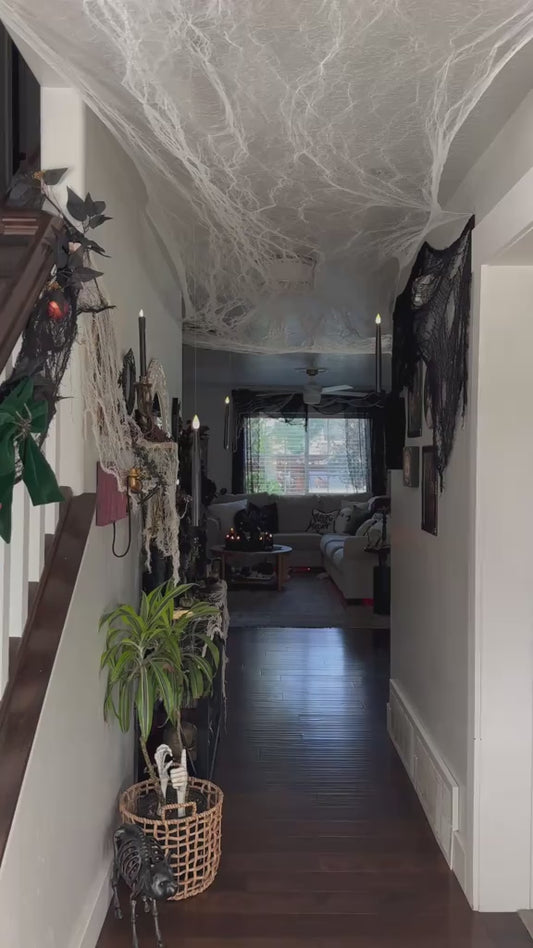 Phantom Glow Spider Web